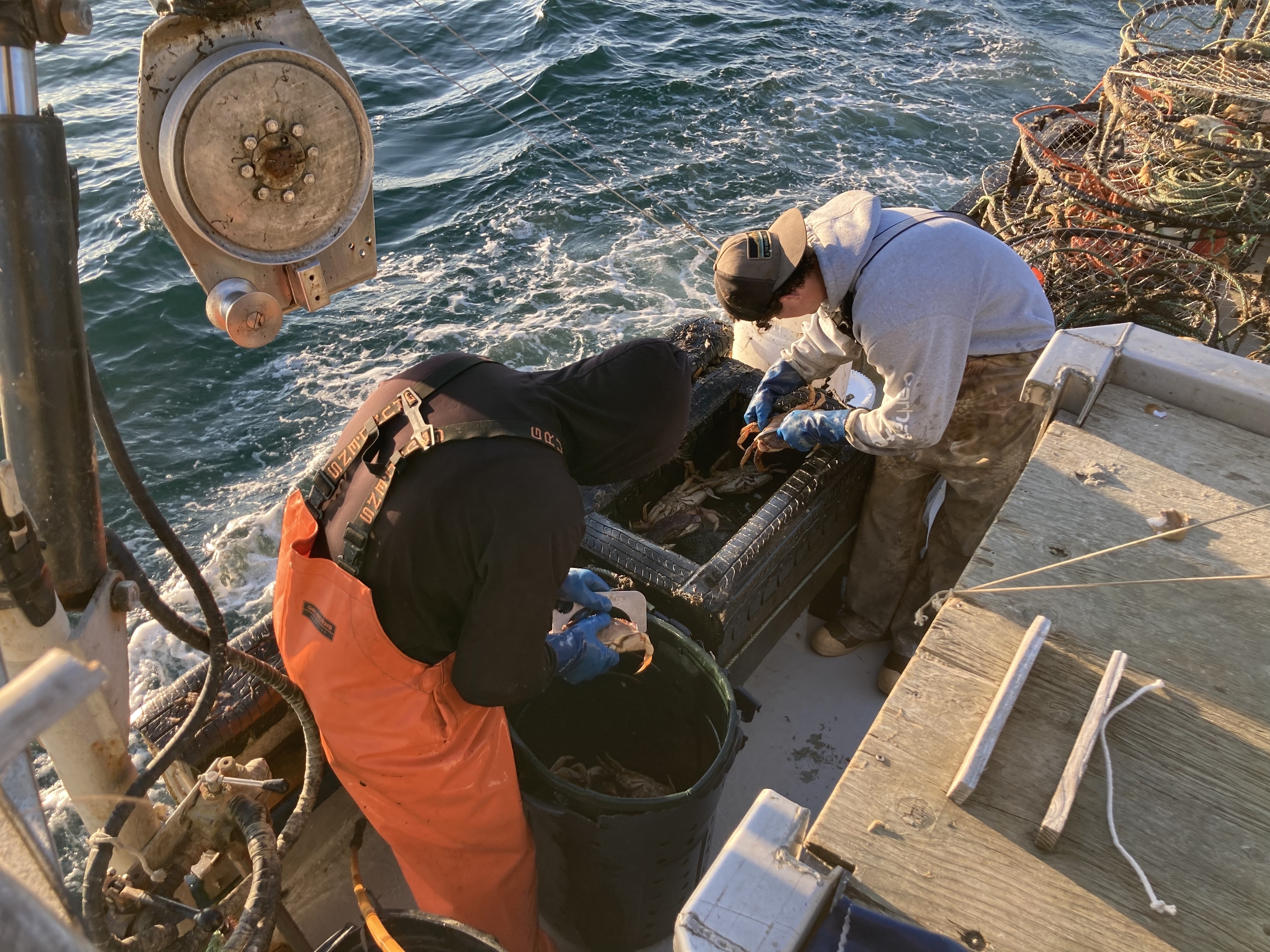 Boats and boating--Equipment and supplies, Naval architecture, Water, Boat, Watercraft