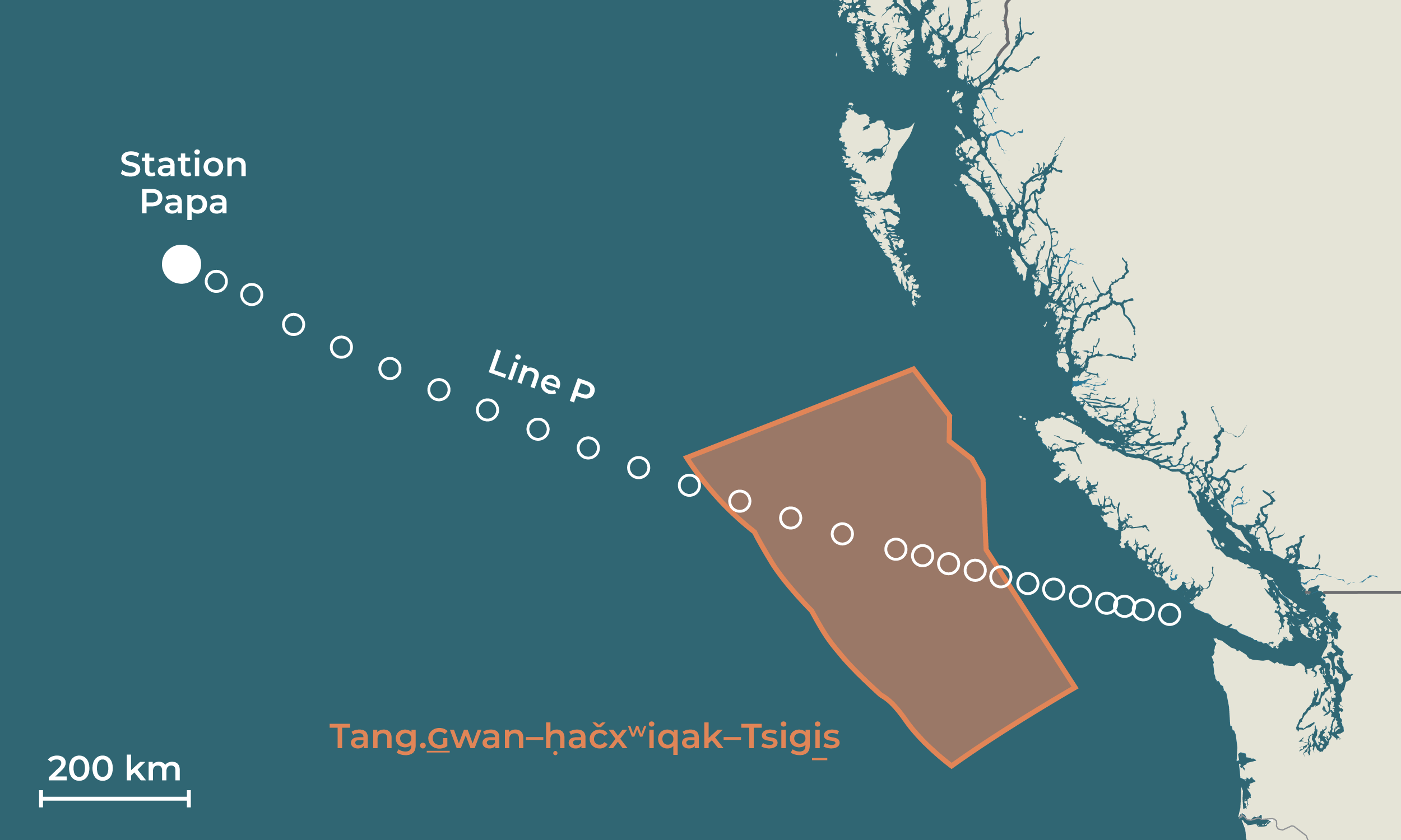 Map, World, Organism, Font